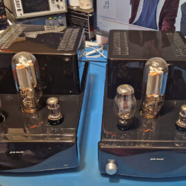 Puresound M845 monoblock amplifiers